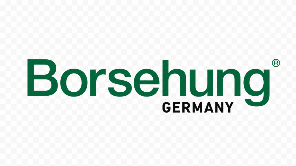Borsehung Logo